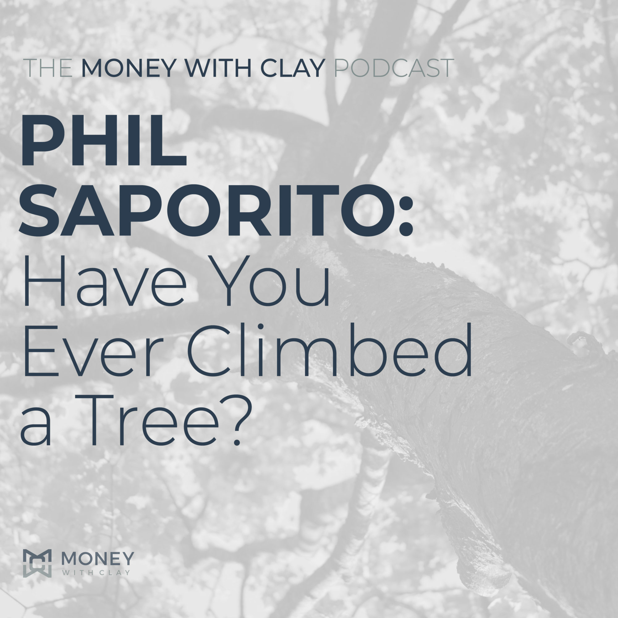 Phil Saporito – Have You Ever Climbed a Tree?