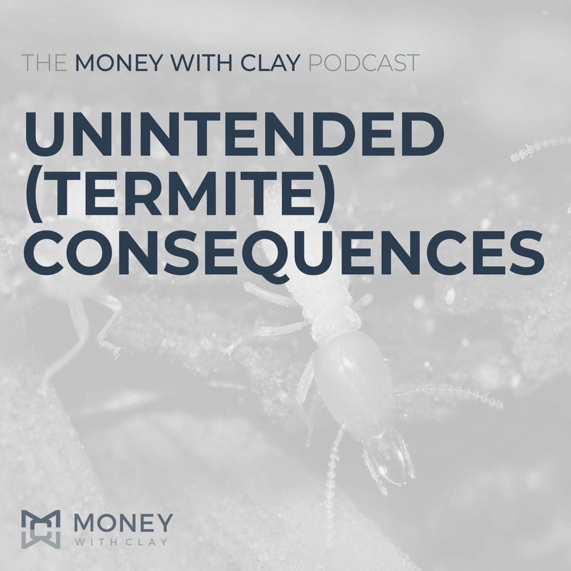 #039 - Unintended (Termite) Consequences