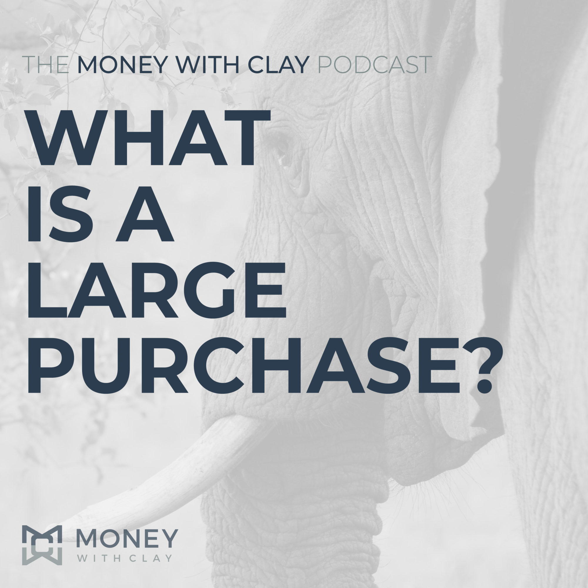 #090 - What Is A Large Purchase?