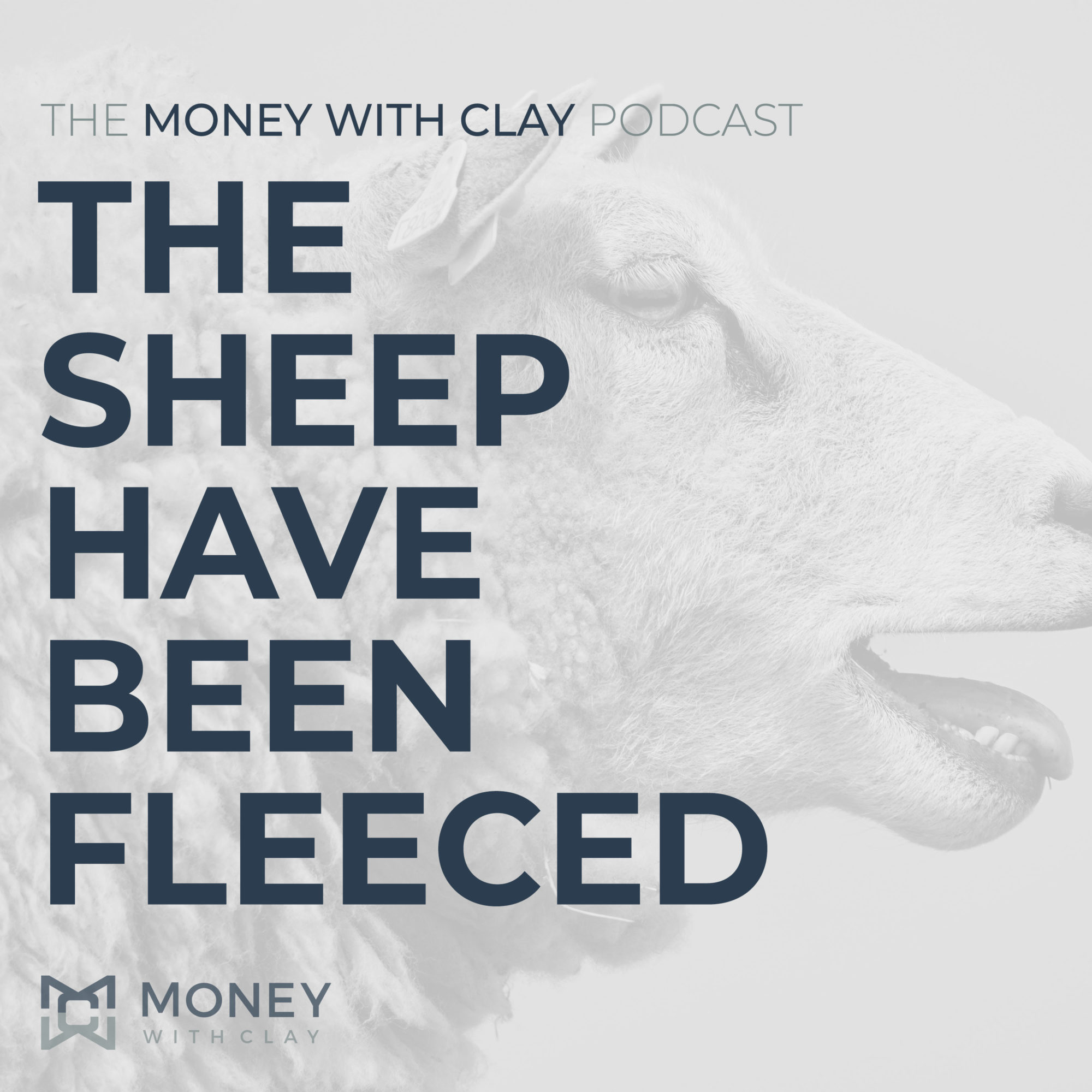 The Sheep Have Been Fleeced | #100